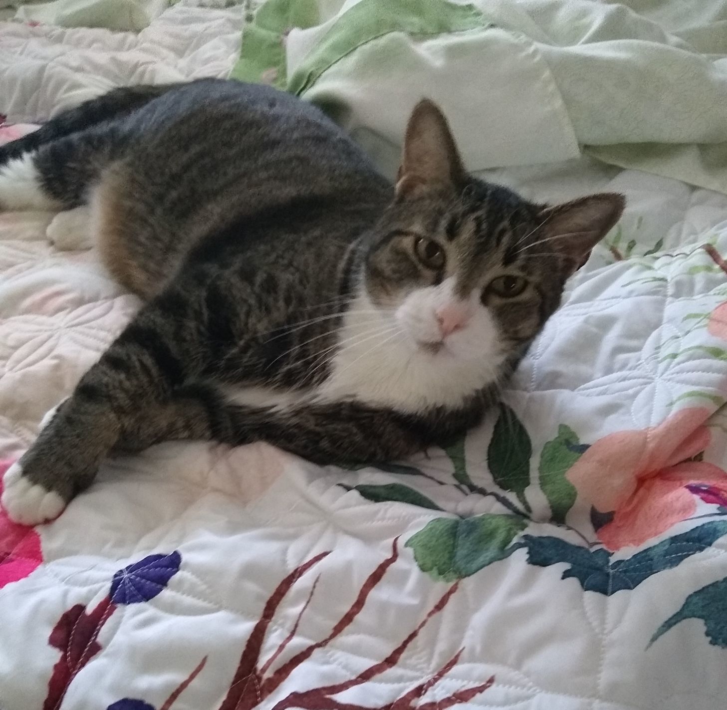 Oscar